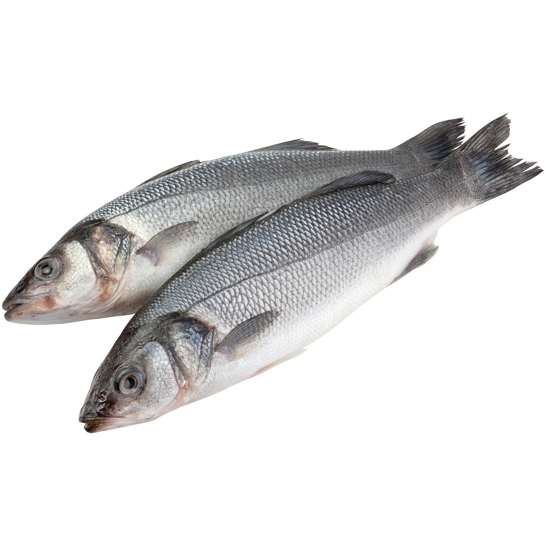 Лаврак чистен 1+,кг