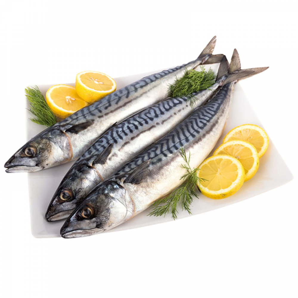 Скумрия Охладена Норвегия кг