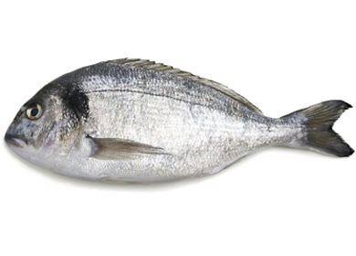 Ципура 1+ кг