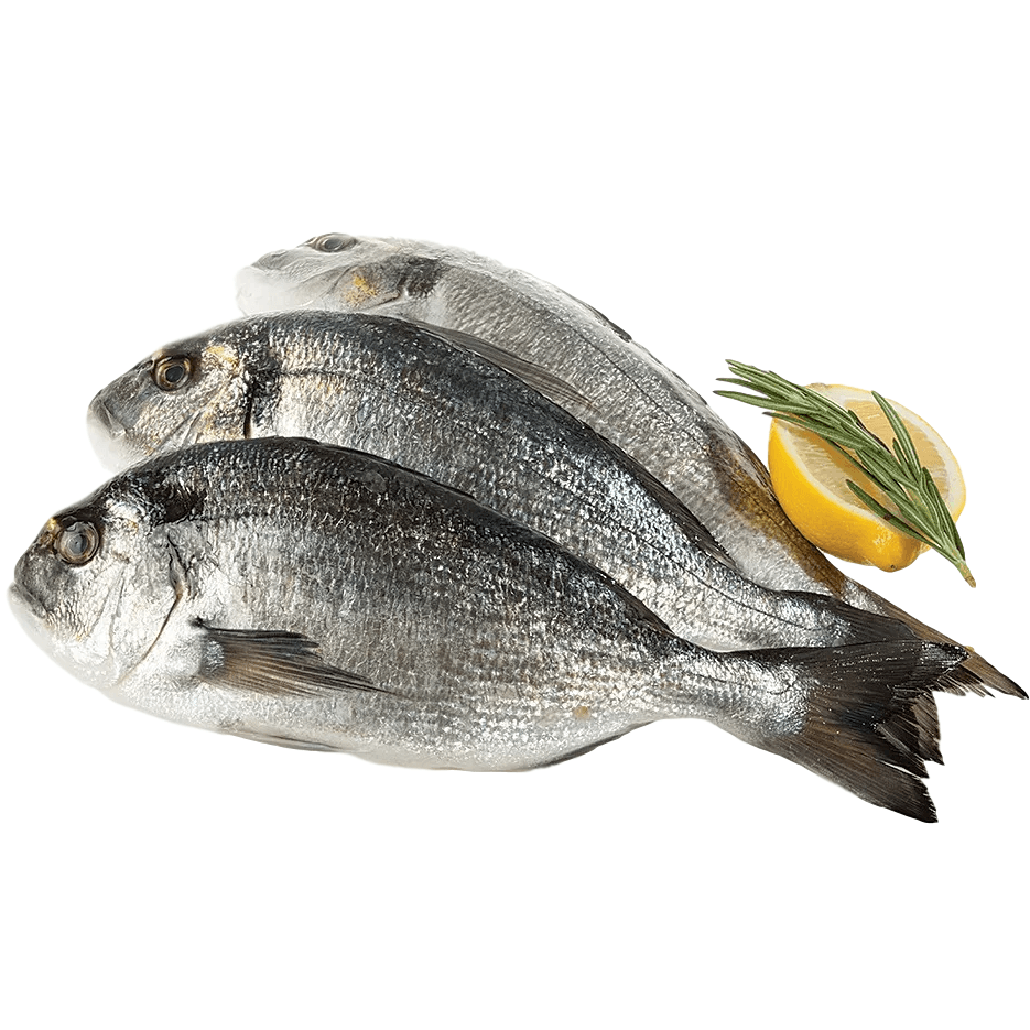 Ципура 400/600 Турция кг