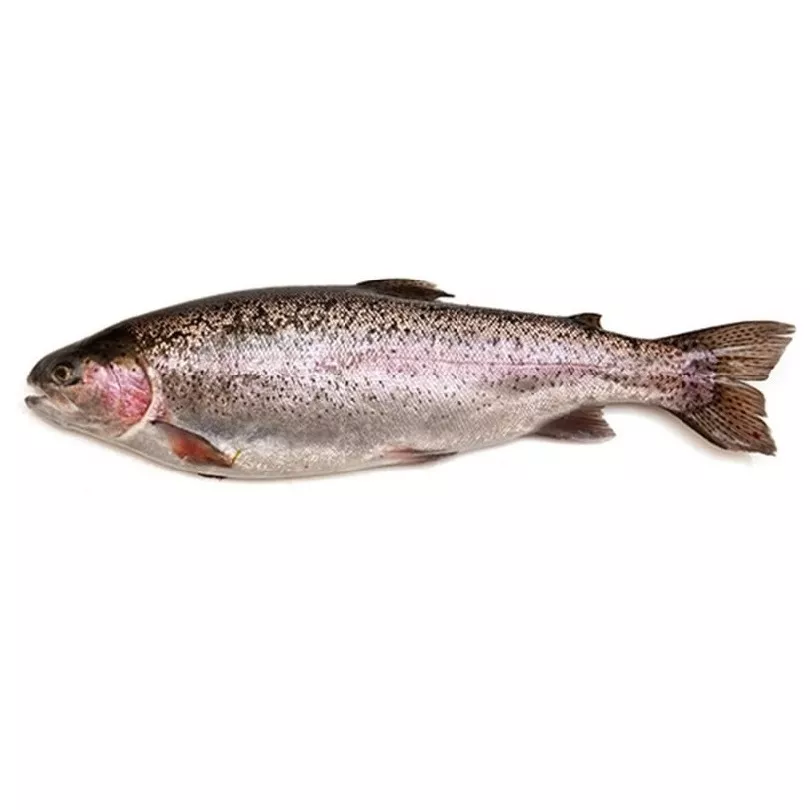 Пъстърва изчистена кг